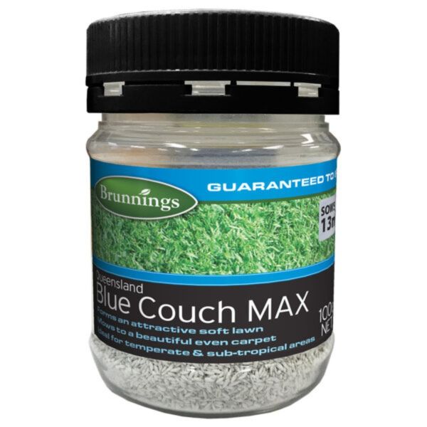 LAWN SEED QLD BLUE COUCH 100g