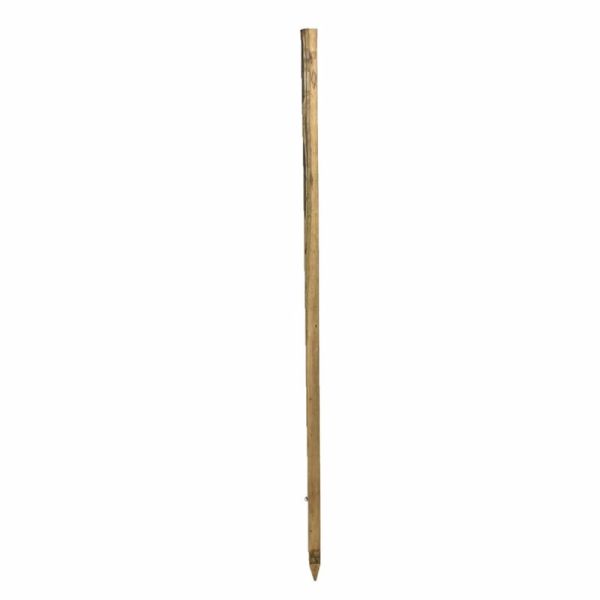 PEG 23x23x1800mm DPR HARDWOOD