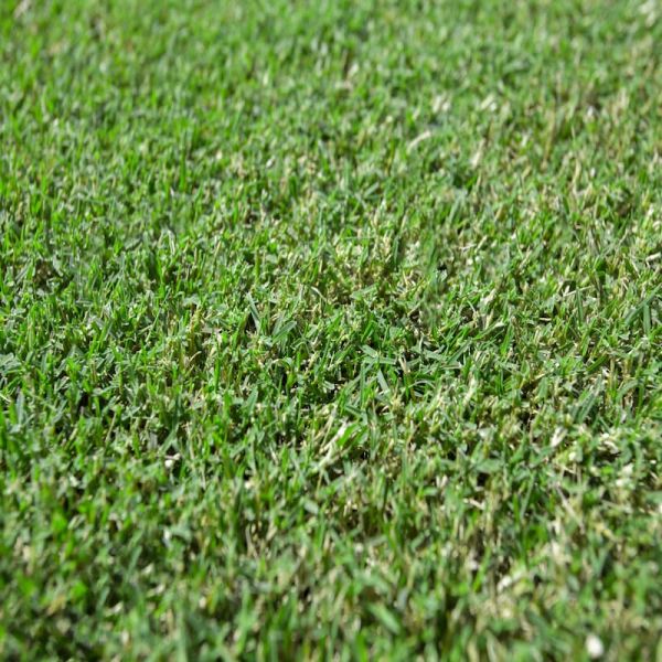 TURF TIFTUF 0.72m2 Slab