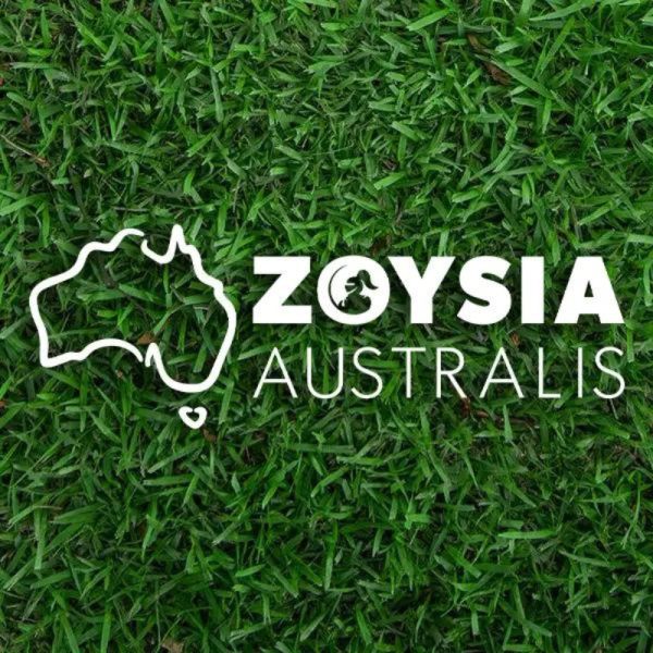 TURF ZOYSIA AUSTRALIS 0.72m2 Slab