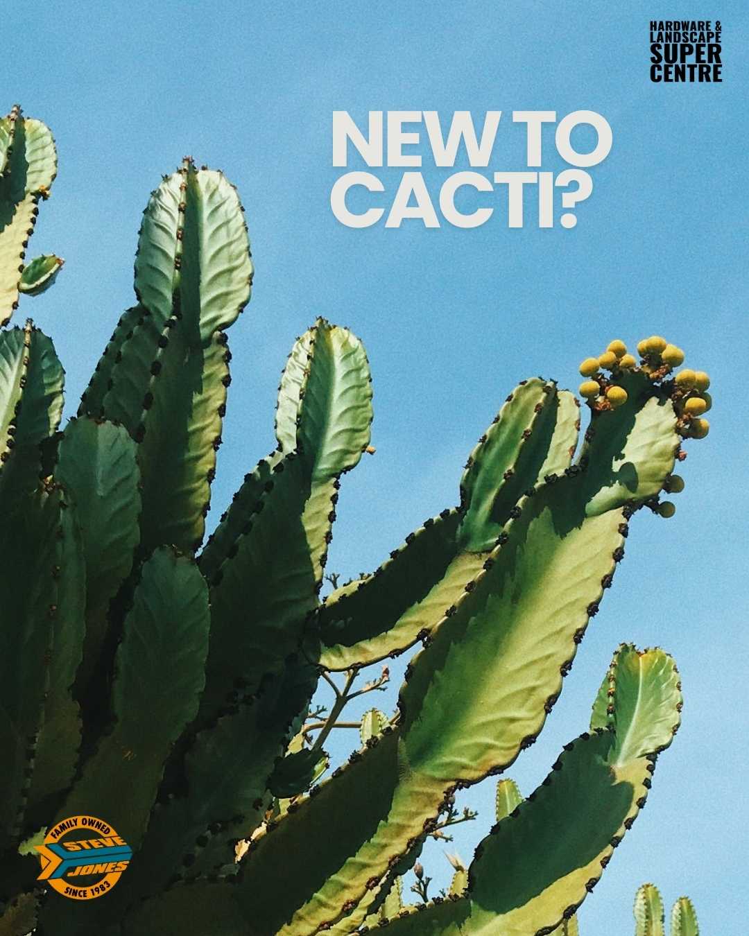 Growing healthy Cacti & Succulents