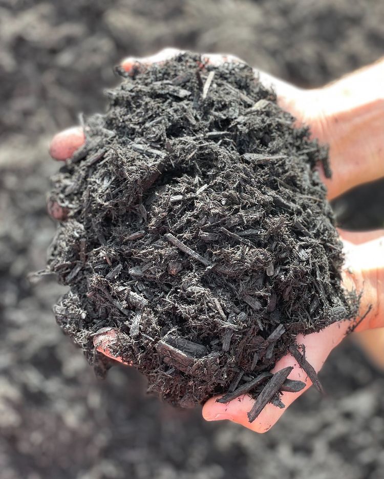 Carbon Black Mulch