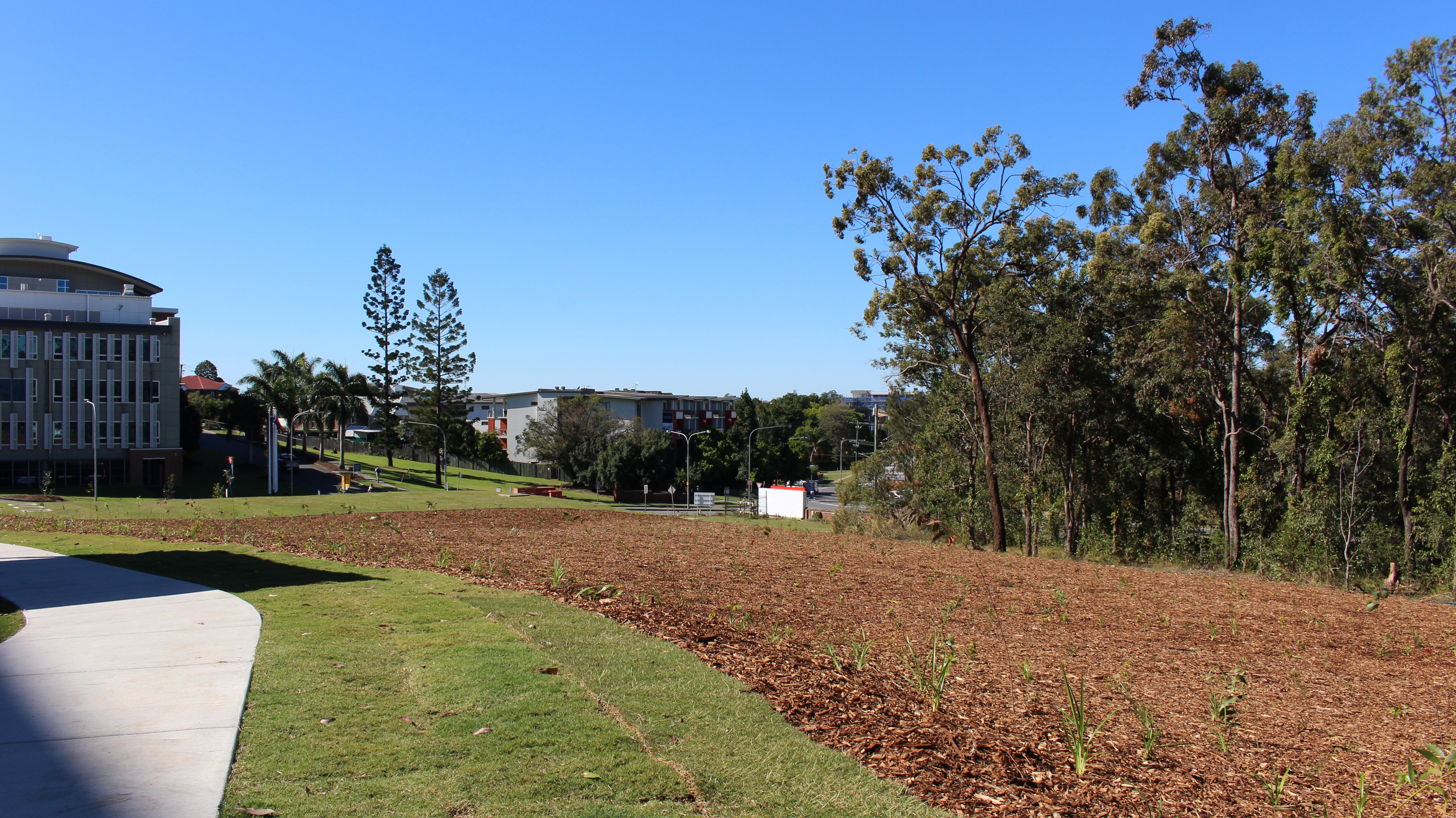 Forest Mulch Delivery